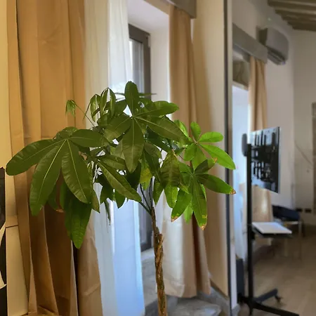 Passpartout Boutique Palace Róma